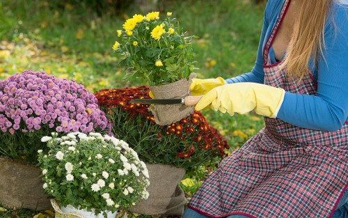 Keyboard navigation and screen-reader support for Eastham landscaping pages