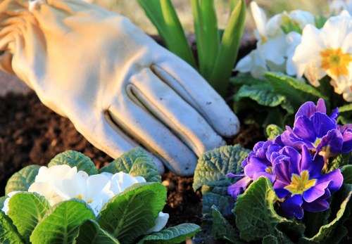 Low-maintenance planting and border design for an Eastham property
