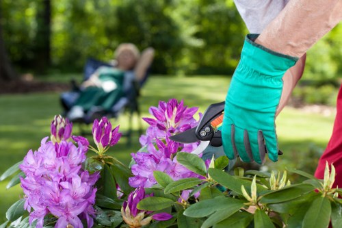 Final cookie policy statement for Landscaping Eastham