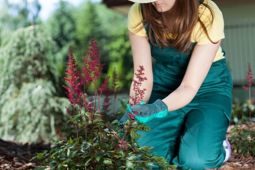 Requesting accessibility support for Eastham landscaping website users