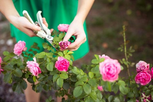 Brush hauling and yard debris estimate for Eastham landscaping