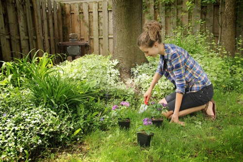 Seasonal yard cleanup and hauling for Landscaping Eastham