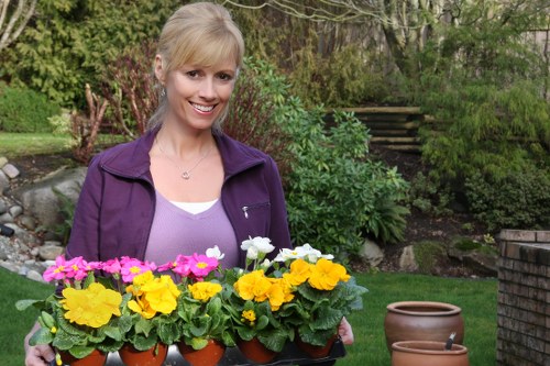 User control over cookie settings on Landscaping Eastham website